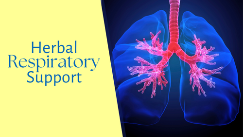 Herbal Respiratory Support