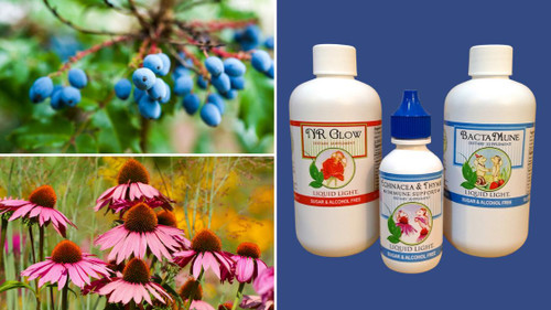 Herbal Immune System Support for Back-to-School