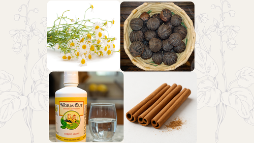 Herbal Parasite Cleanse