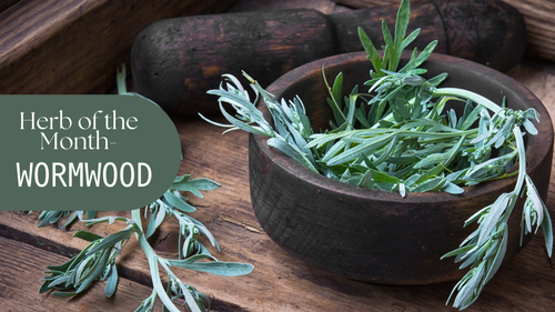 Herb of the Month: Wormwood