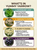 Yummy Yarrow with Elderberry - All Natural Fast Fever & Stomachache Relief for Children