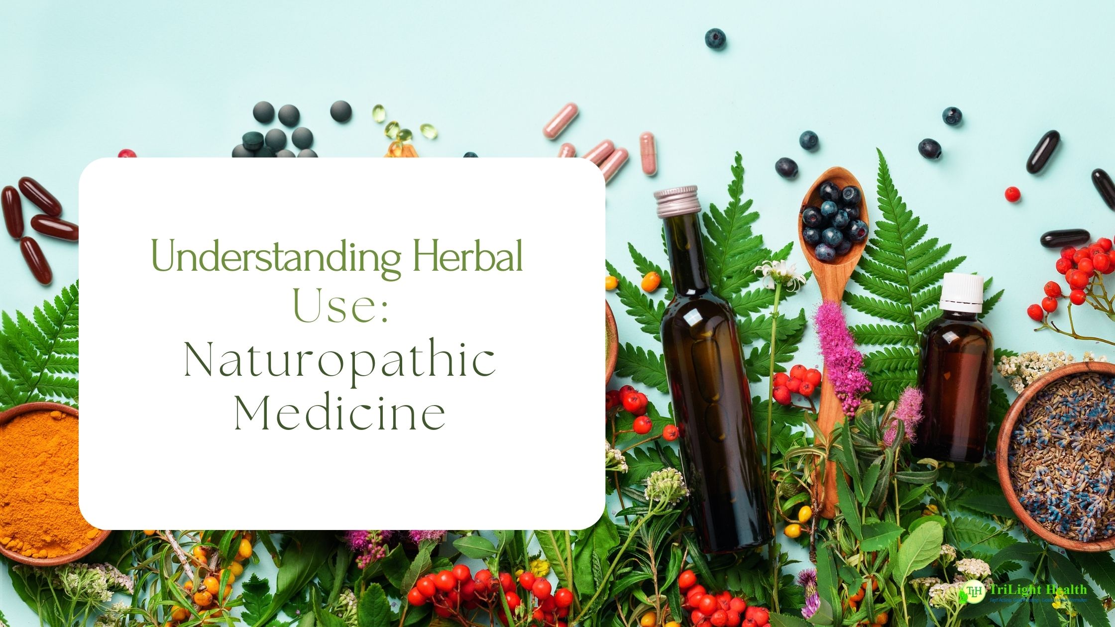 Understanding Herbal Use Naturopathic Medicine TriLight Health