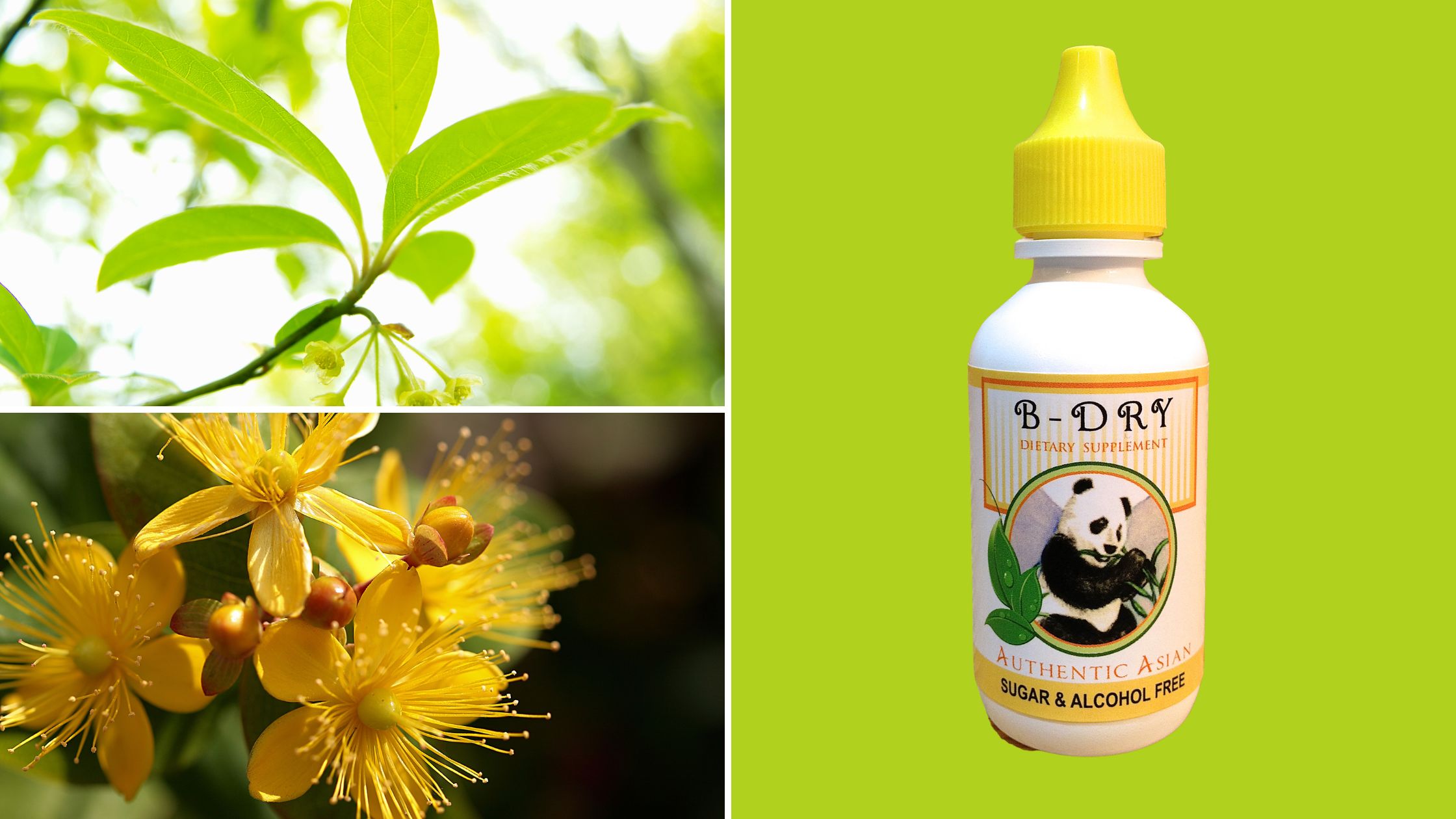 Herbal Bedwetting and Urinary Incontinence Support - TriLight Health