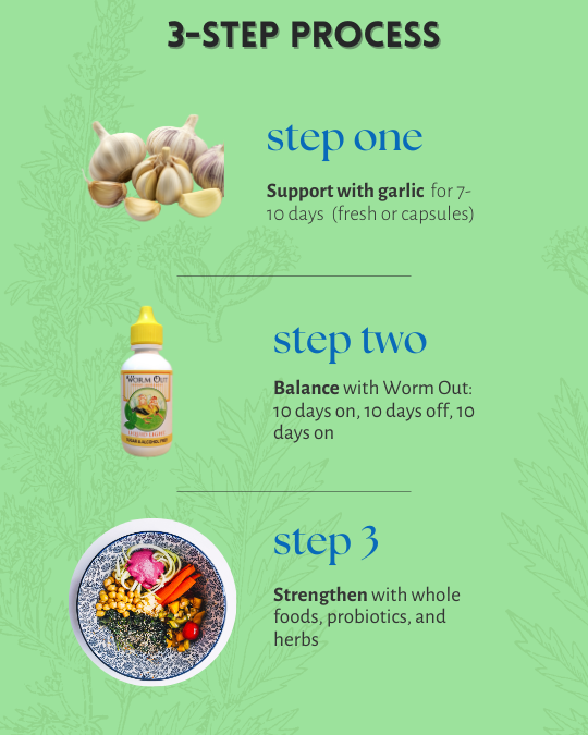 Three steps for Worm Out herbal gut steps as outlined below with pictures of garlic, Worm Out, and fresh whole foods