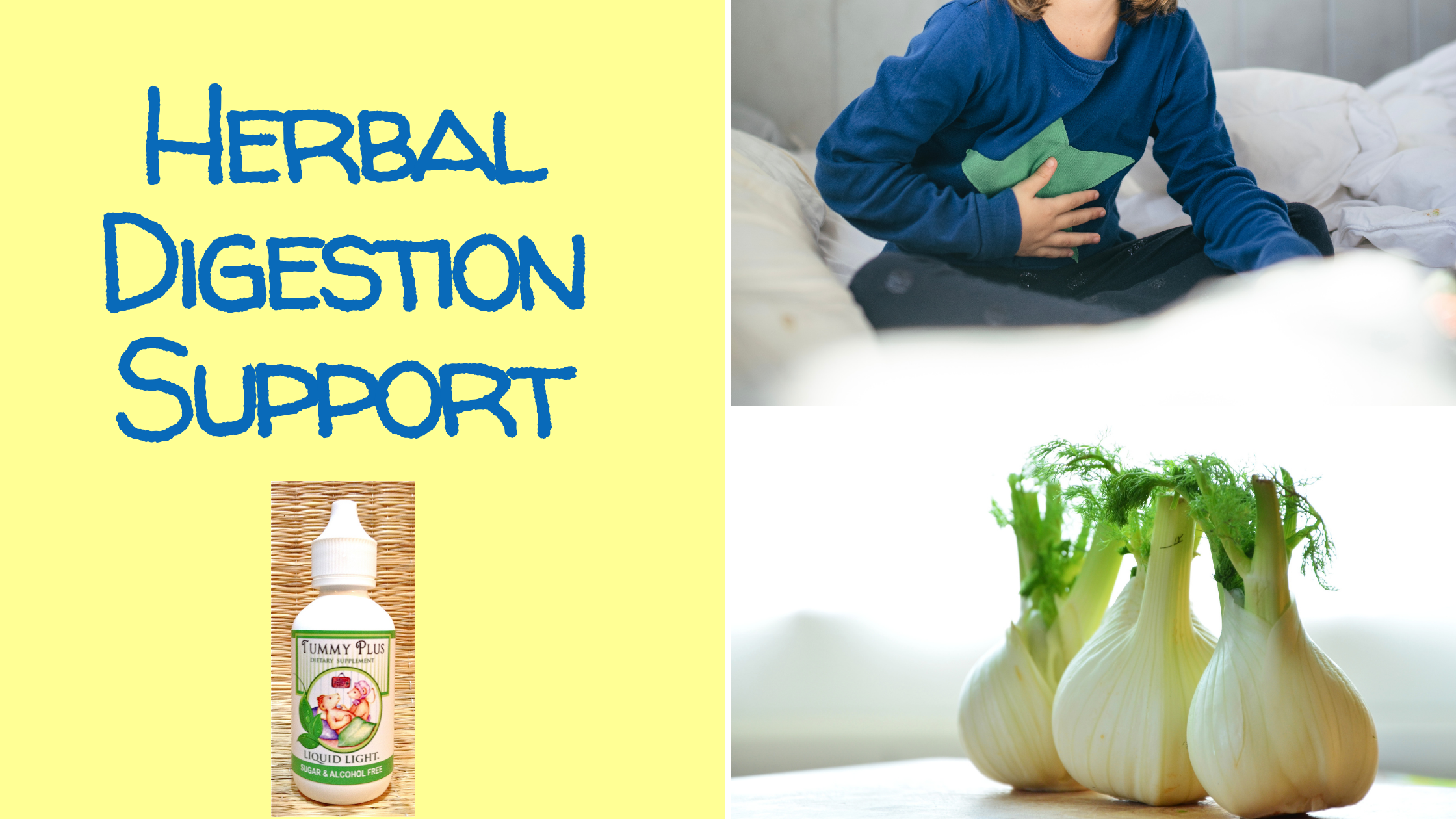 Powerful herbal solutions for improving digestion and gut health