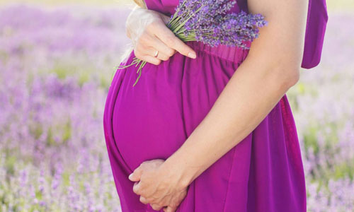 https://cdn11.bigcommerce.com/s-fj64bm59j4/product_images/uploaded_images/home-pregnancy.jpg?t=1545176861