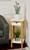 2-Tier Bamboo Plant Stand with Drawer | White | CBBFT0005WT