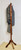 Acacia Hall Tree Coat Rack