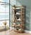 Acacia  5 Tier Folding Bookcase | Natural