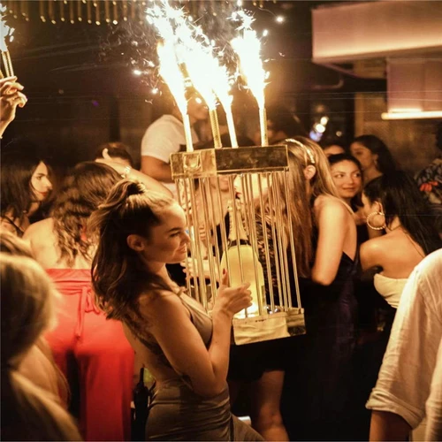 Champagne Bottle Locking Cage for Nightclubs and VIP Events