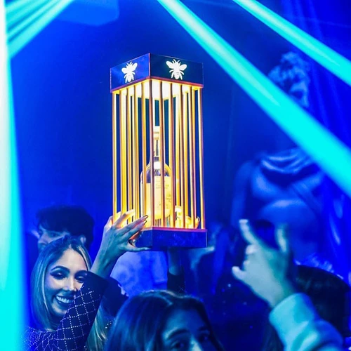 LED Champagne Bottle Locking Cage for VIP Bottle Service