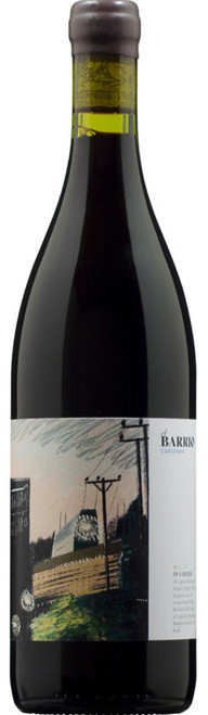 El Barrio Carignan Maule Valley Natural Wine from Chile|14188