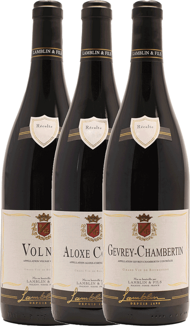 Lamblin & Fils Côte-d'Or Case|14821 2023 by Lamblin Fils, Pinot Noir from Burgundy, France - Imported by Opimian Wine Club