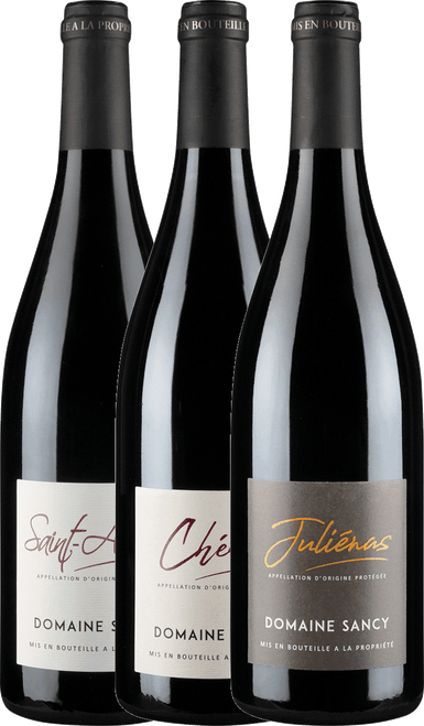 Domaine Sancy Cru du Beaujolais Case | C325 5503 2024 by , Gamay from Beaujolais, France - Imported by Opimian Wine Club