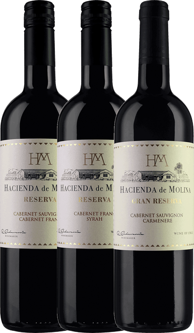 Hacienda de Molina Case - 4 bottles each:-C332