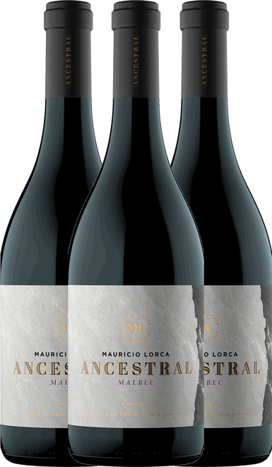 Mauricio Lorca Ancestral Malbec Vertical Tasting Case - 1 bottle each: 2020, 2021, 2022-C332