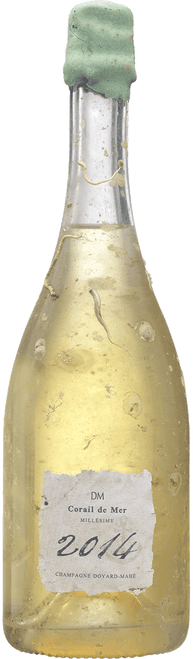 Bottle Immersion - DM Corail de Mer, Champagne Doyard-Mahé, Millésime 2014 (one bottle immersed, one bottle non-immersed)-C333