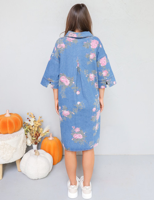 Entro Denim Days Dress 