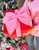 Shiraleah Large Gift Bow Pillow 