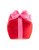Shiraleah Medium Gift Box Pillow 