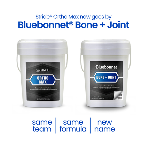 Bone + Joint (Ortho Max)