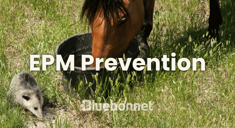 EPM Prevention & Support