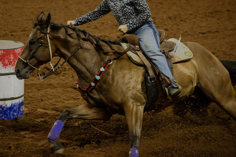 ​Leaky Gut Syndrome in Barrel Horses