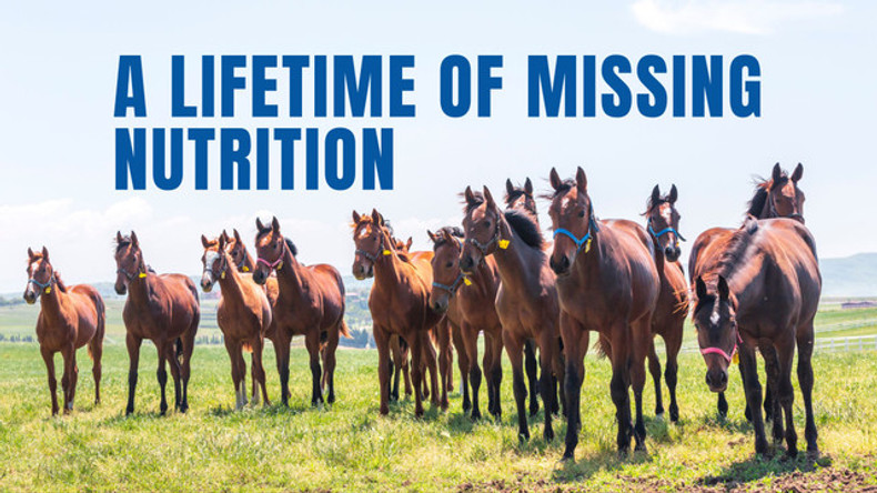 A Lifetime of Missing Nutrition