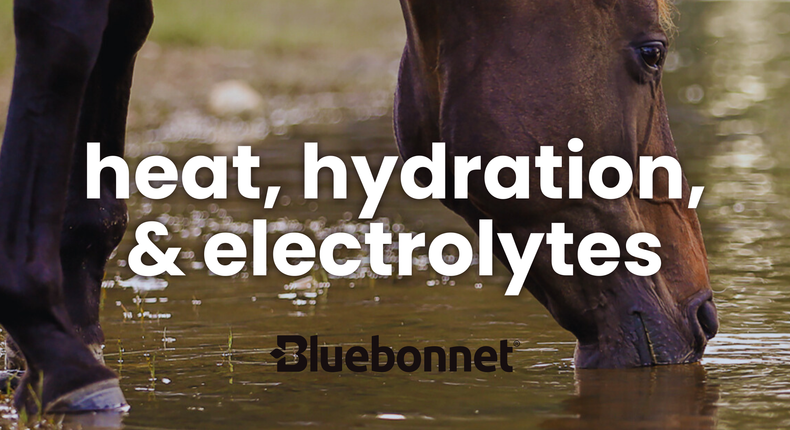 Heat, Hydration, & Electrolytes