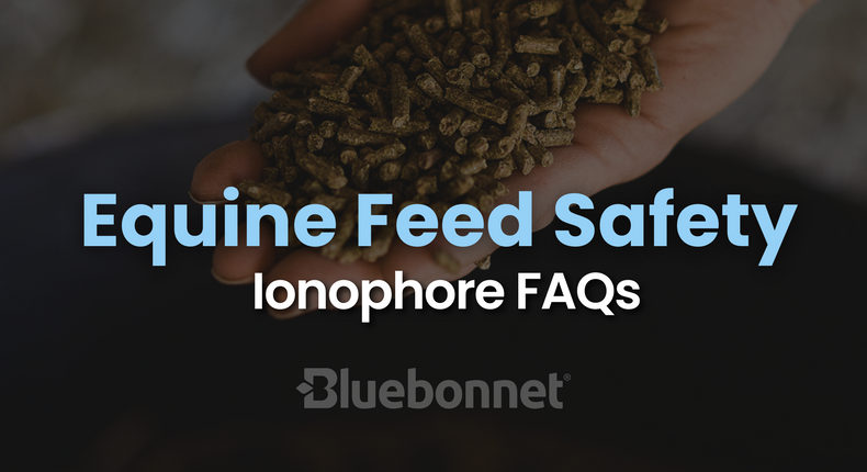 Equine Feed Safety: Ionophore FAQs