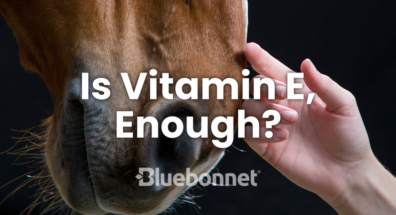 Is Vitamin E, Enough?