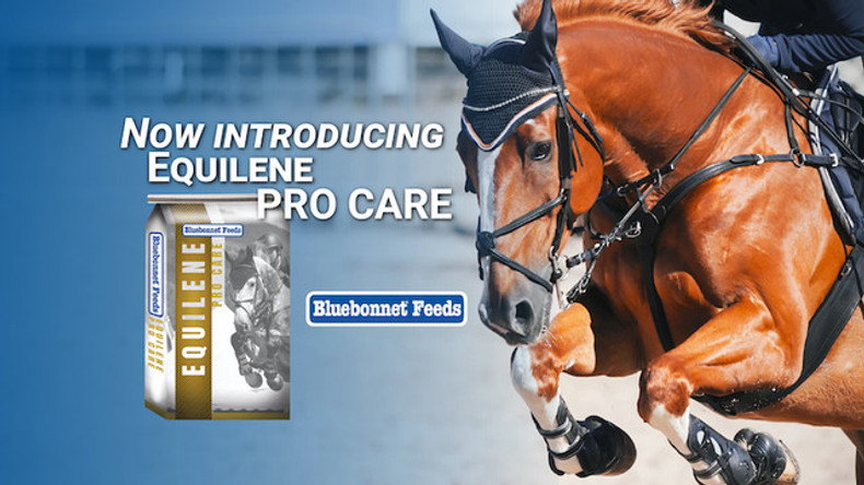 Equilene Pro Care