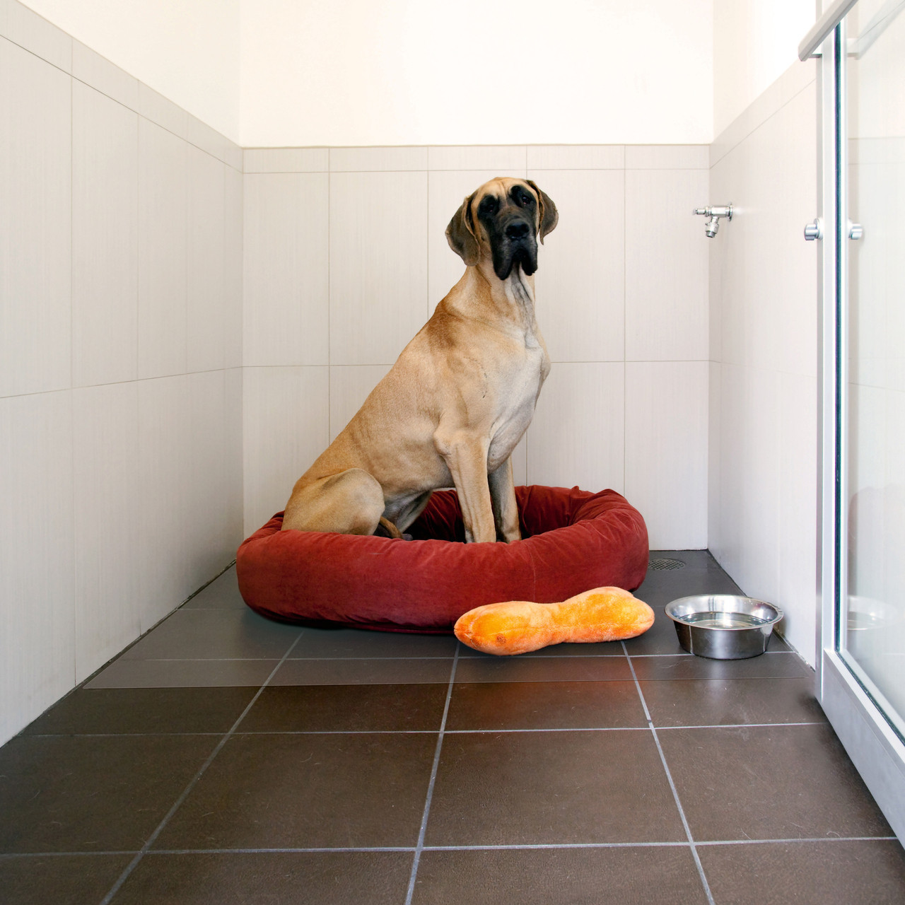 What makes the best dog crate floor protection mat?