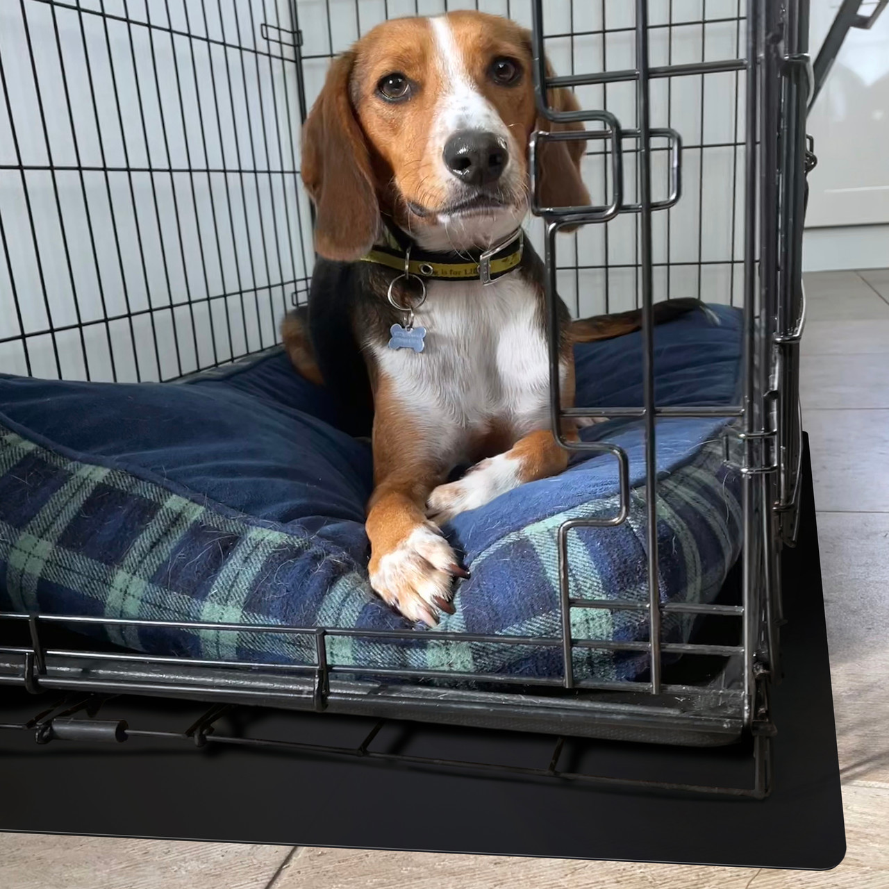 https://cdn11.bigcommerce.com/s-fjwps1jbkv/images/stencil/1280x1280/products/371/3264/p-tex-pet-crate-polypropylene-floor-protection-mat-for-use-on-hard-floors-and-carpets-or-rectangular-dog-crate-mat-or-black-or-3-sizes-available__71678.1688990082.jpg?c=2?imbypass=on
