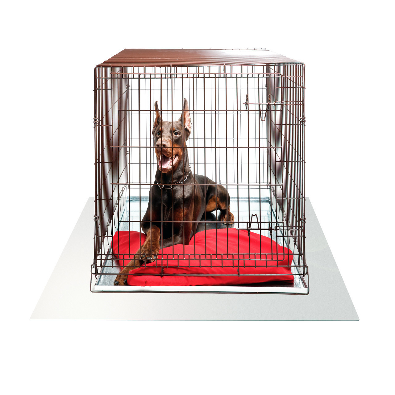 Photo inspiration: Hardfloor Dog Crate Mat Reference: P Tex Dog Crate Hard Floor Protection Mat Clear Polycarbonate