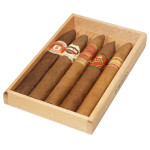 Boutique Premium Torpedo Cigar Sampler in a Cedar Box of 5