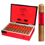 Camacho Corojo Gordo Cigars 6 x 60 Box of 20