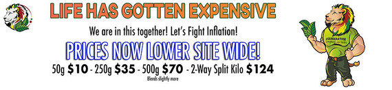 Laughing Lion Prices Reduced!