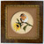 Waiting (Eur. Robin & Sunflower) - mosaic giclee' AP