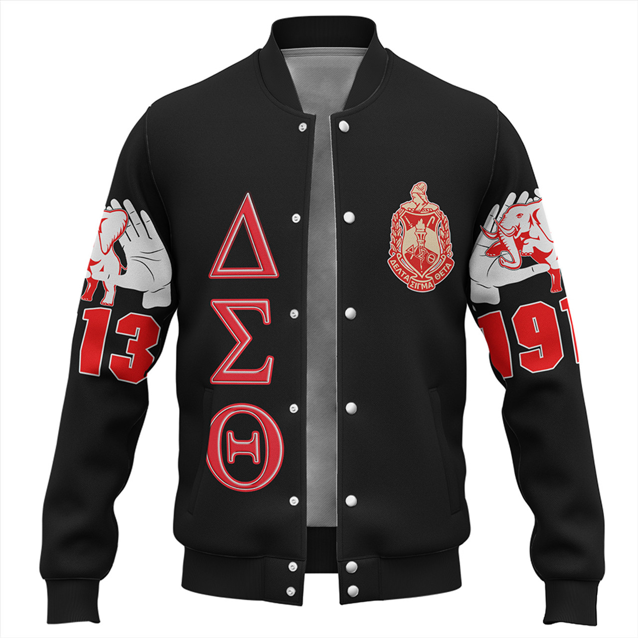 Delta Sigma Theta Baseball Jersey 3XL