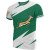 South Africa T-Shirt - Africa Springbok Light T-Shirt Desert Fashion 1