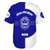 Zeta Phi Beta Baseball Shirt Half Circle