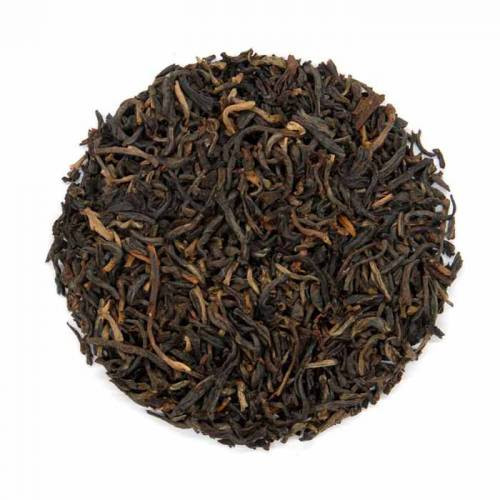 Ancient Forest Black