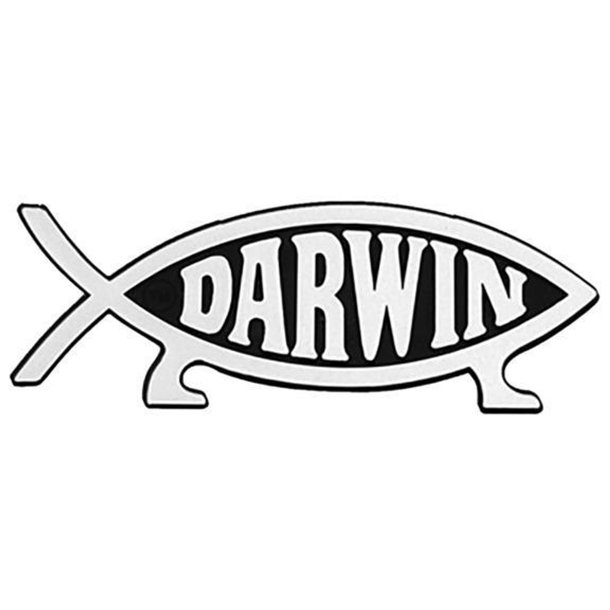 Bishop Gauci unveils new logo for Darwin Diocese - CathNews