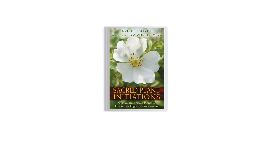 Sacred Plant Initiations by Carole Guyett