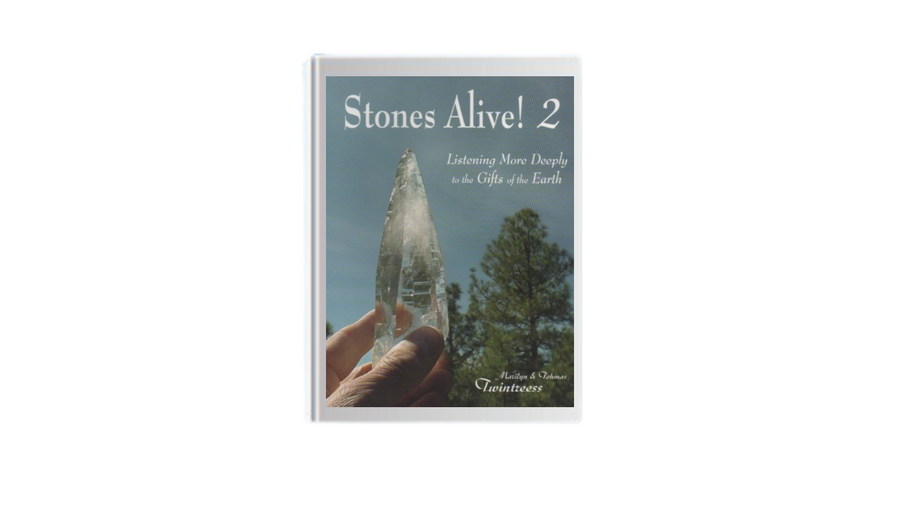 Stones Alive! 2 by Marilyn Twintrees