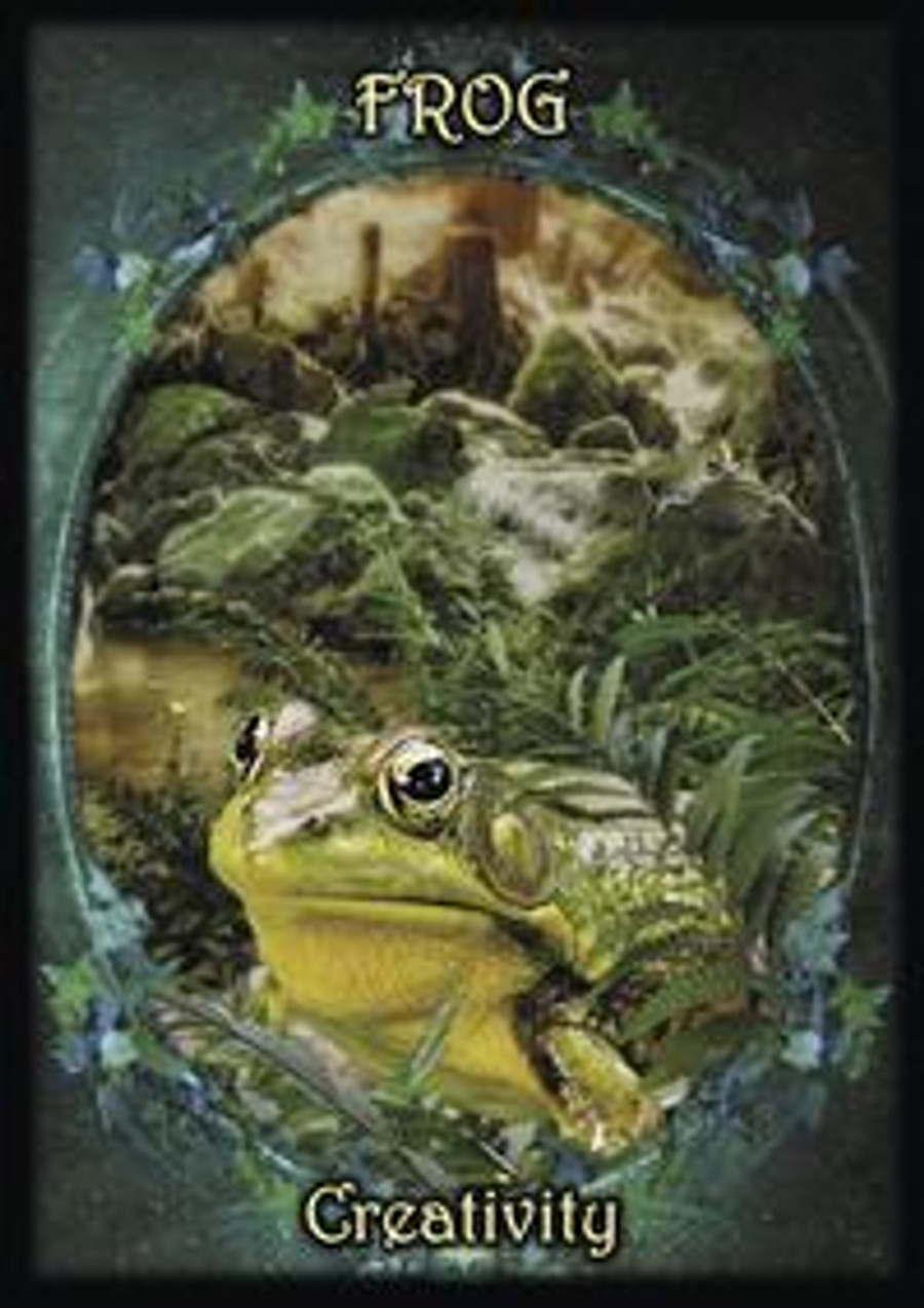 Witches' Familiars Oracle Cards by Barbara Meiklejohn-Free, Flavia Kate Peters, Kate Osborne