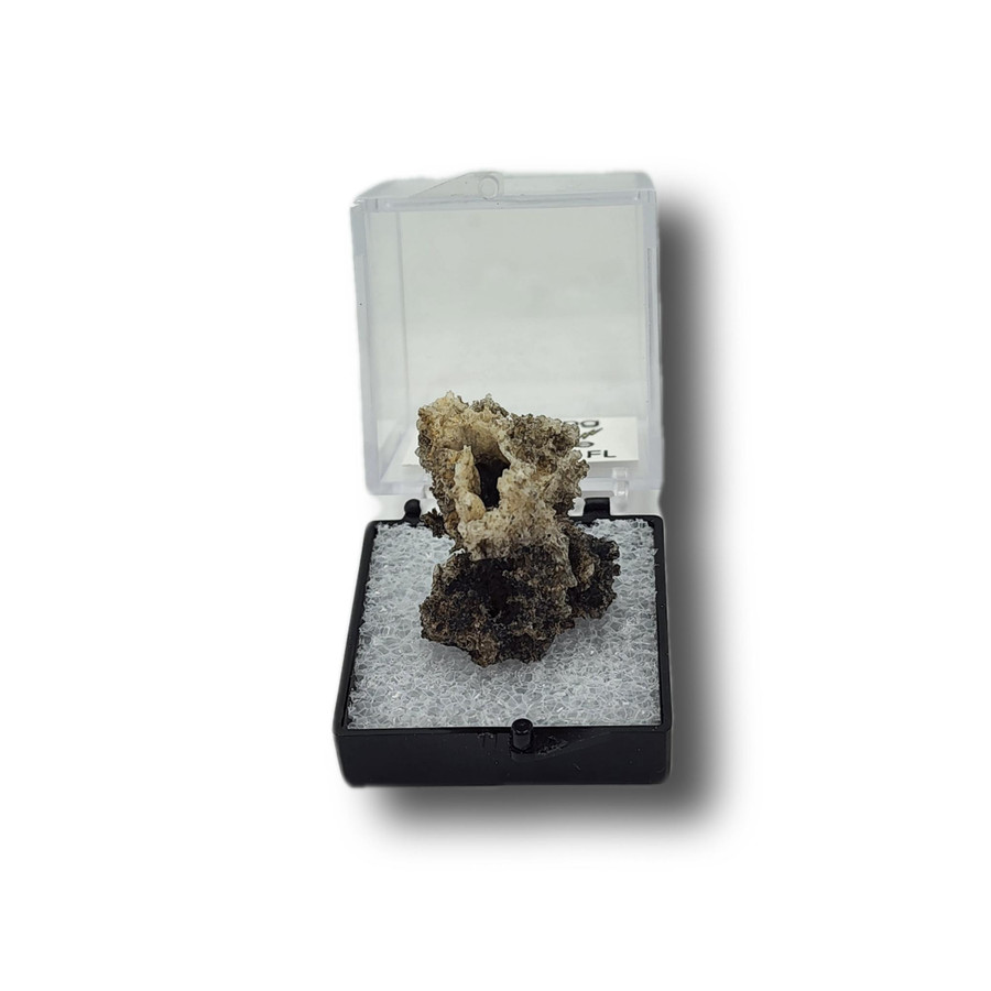 Fulgurite Specimen in Case