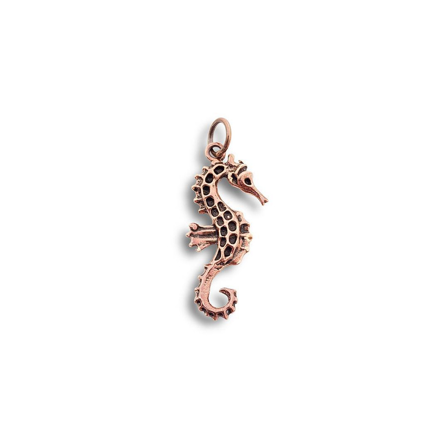 Seahorse Pendant (Bronze) S1