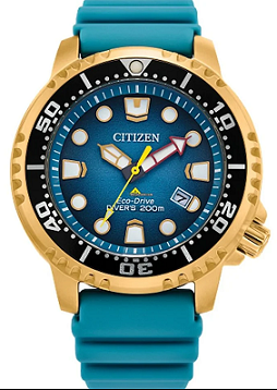 Citizen Promaster Dive Eco-Drive BN0162-02X | Donaldson Watch Repair